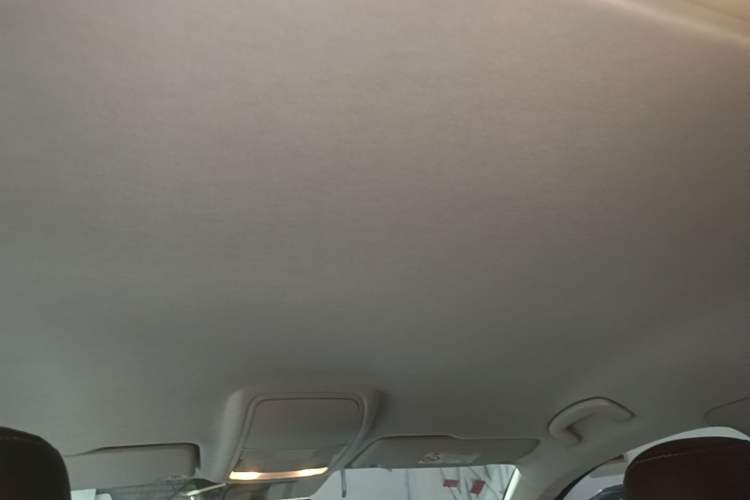 Used Volkswagen Tharu 2021 280TSI Two-Wheel Drive Trend Edition Headliner