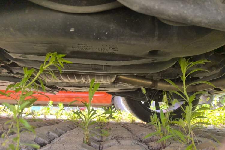 Used Volkswagen Tharu 2021 330TSI All-Wheel Drive Luxury PLUS Version Chassis Rear Left