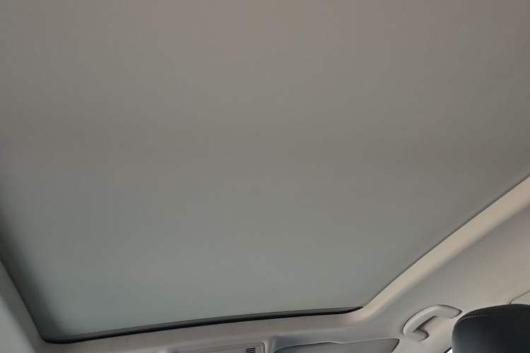 Used Volkswagen Tharu 2021 280TSI Two-Wheel-Drive Luxury Plus Edition Headliner