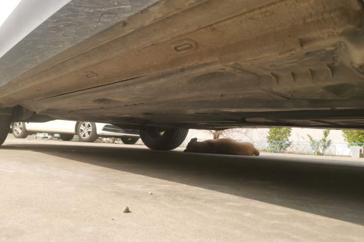 Used Volkswagen Tharu 2022 280TSI Two-Wheel Drive Comfort Edition Chassis Front Right