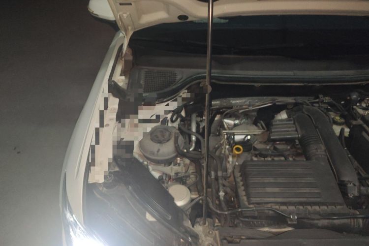 Used Volkswagen Tharu 2022 280TSI Two-Wheel-Drive Luxury Edition Engine Bay Right