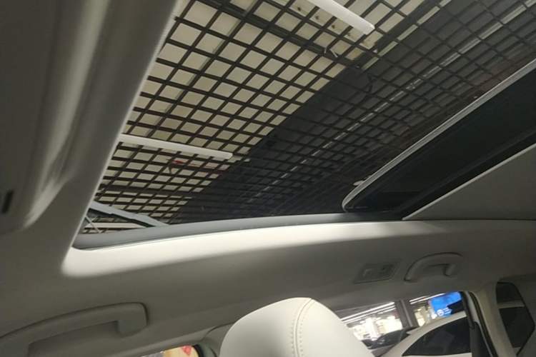 Used Volkswagen Tharu 2023 300TSI Two-Wheel-Drive Moonlight Edition Headliner