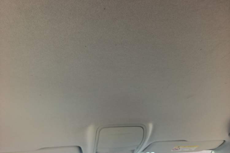 Used Volkswagen Tharu 2023 300TSI Two-Wheel-Drive Crescent Edition Headliner