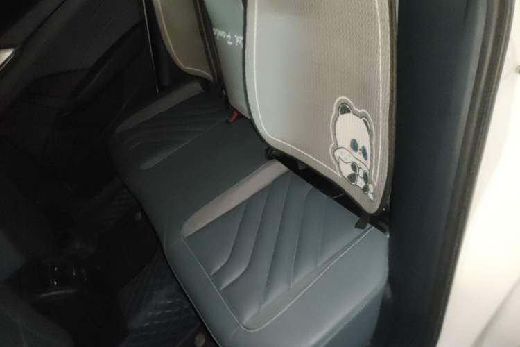 Used Volkswagen Tharu 2023 300TSI Two-Wheel-Drive Full Moon Edition Left Rear Seat
