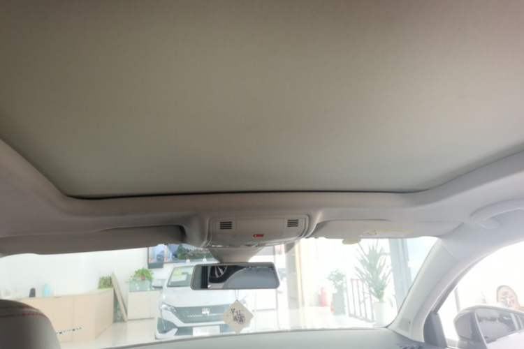 Used Volkswagen Tharu 2024 300TSI Two-Wheel-Drive Moon Luxury Edition Headliner