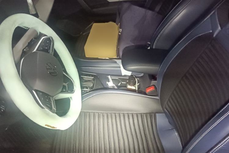Used Volkswagen Tharu 2024 300TSI Two-Wheel-Drive Full Moon Edition Left Front Seat