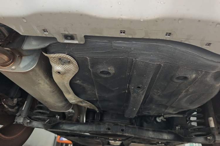 Used Volkswagen Tharu 2025 New Sharp 1.5L Sharp Edition Chassis Rear