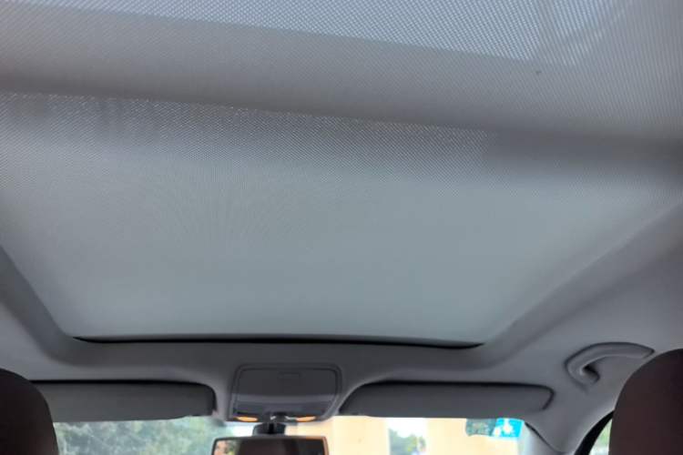 Used Volkswagen Tiguan 2009 2.0 TSI Luxury Edition Headliner