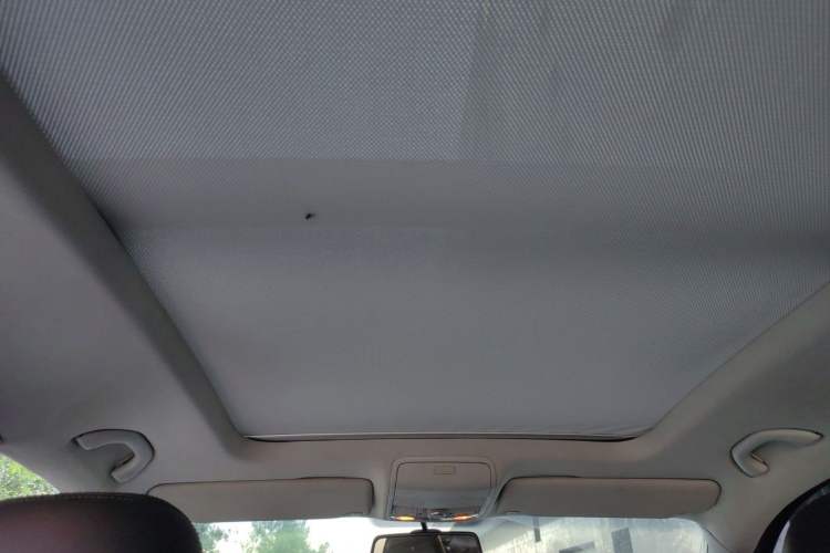 Used Volkswagen Tiguan 2010 2.0 TSI Automatic All-Wheel-Drive Elite Edition Headliner