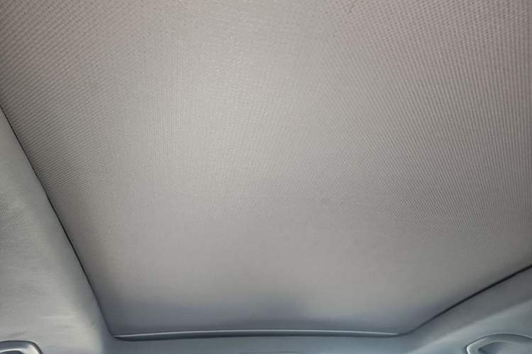Used Volkswagen Tiguan 2010 1.8TSI Automatic All-Wheel-Drive Elite Edition Headliner
