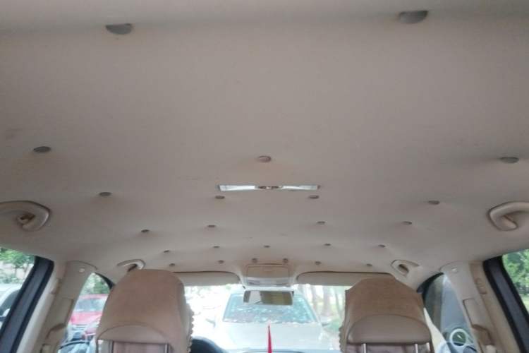 Used Volkswagen Tiguan 2010 1.8 TSI Automatic Two-Wheel Drive Trend Edition Headliner
