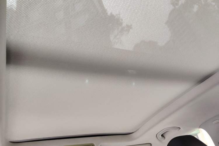 Used Volkswagen Tiguan 2010 2.0 TSI Automatic All-Wheel-Drive Elite Edition Headliner