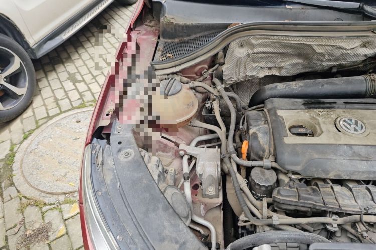 Used Volkswagen Tiguan 2010 2.0 TSI Automatic All-Wheel-Drive Elite Edition Engine Bay Right