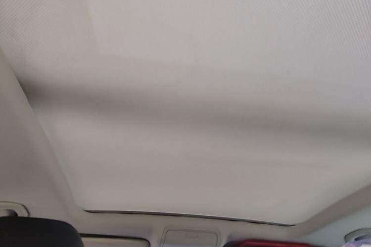 Used Volkswagen Tiguan 2010 1.8TSI Automatic All-Wheel-Drive Elite Edition Headliner