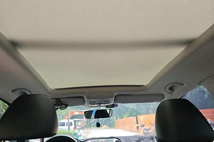 Used Volkswagen Tiguan 2010 2.0 TSI Automatic All-Wheel-Drive Elite Edition Headliner