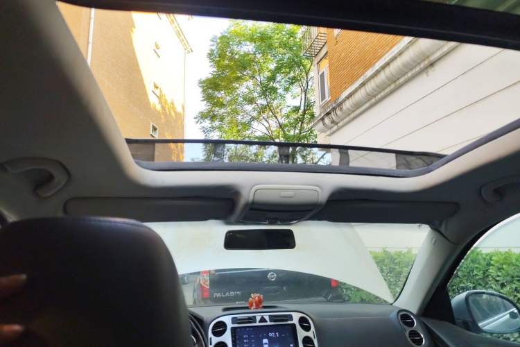 Used Volkswagen Tiguan 2010 1.8TSI Automatic All-Wheel-Drive Elite Edition Headliner