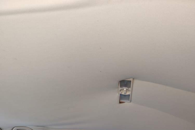 Used Volkswagen Tiguan 2010 1.8 TSI Automatic Two-Wheel Drive Trend Edition Headliner