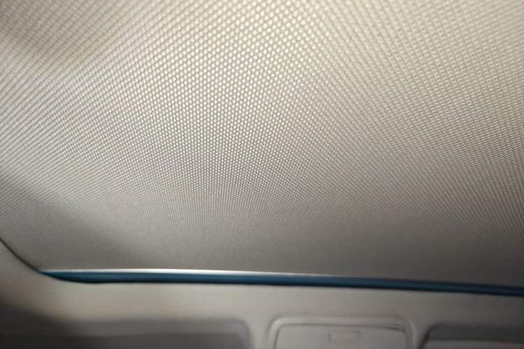 Used Volkswagen Tiguan 2010 2.0 TSI Automatic All-Wheel-Drive Elite Edition Headliner
