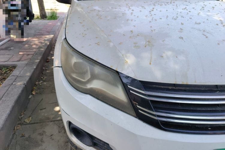 Used Volkswagen Tiguan 2012 1.8TSI Automatic All-Wheel Drive Fashion Edition Right Front Headlight