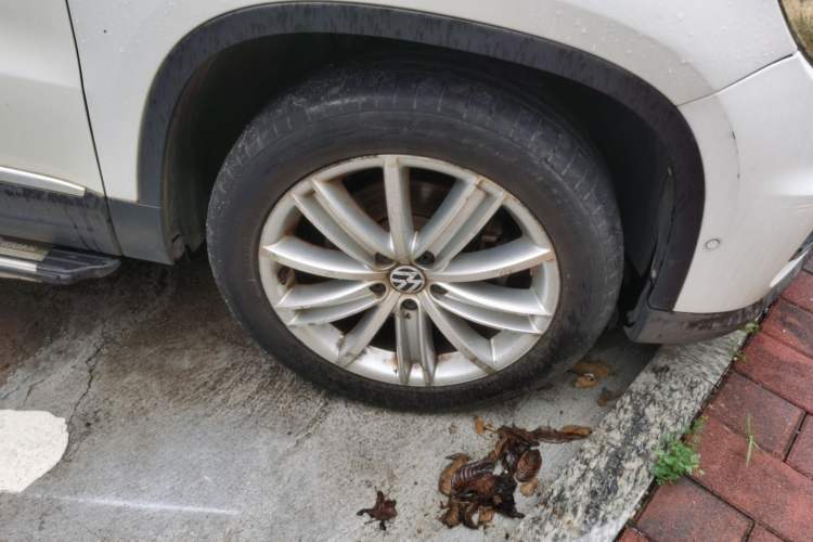 Used Volkswagen Tiguan 2012 2.0 TSI Automatic All-Wheel Drive Flagship Edition Right Front Wheel Hub