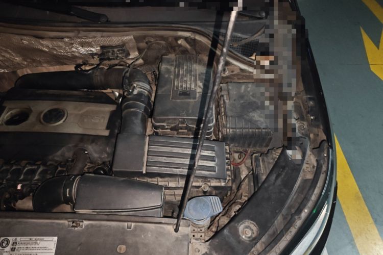 Used Volkswagen Tiguan 2013 1.8 TSI Automatic All-Wheel Drive Luxury Model Engine Bay Left
