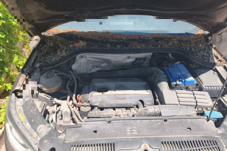 Used Volkswagen Tiguan 2013 1.8TSI Automatic Two-Wheel Drive Luxury Model Engine Bay Right