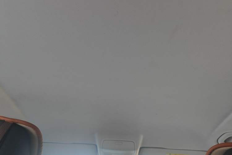 Used Volkswagen Tiguan 2015 1.8TSI Manual Two-Wheel Drive Fashion Edition Headliner