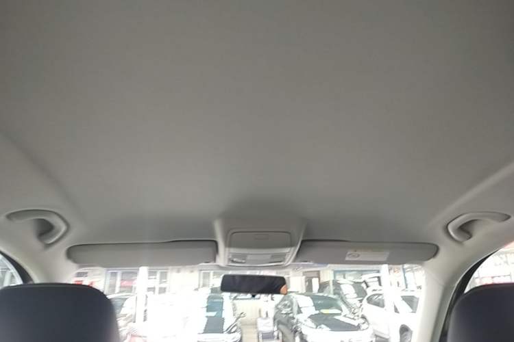 Used Volkswagen Tiguan 2016 300TSI Automatic Two-Wheel Drive Trend Edition Headliner