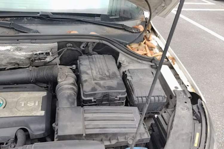 Used Volkswagen Tiguan 2016 300TSI Automatic Two-Wheel Drive Comfort Edition Engine Bay Left