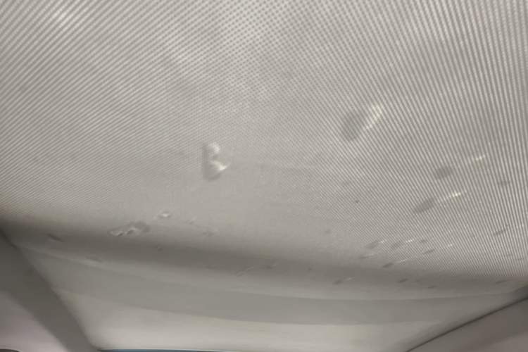 Used Volkswagen Tiguan 2016 300TSI Automatic All-Wheel Drive Fashion Vision Edition Headliner
