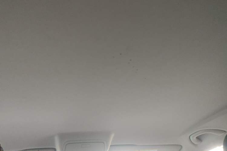 Used Volkswagen Tiguan 2016 300TSI Automatic Two-Wheel Drive Comfort Edition Headliner