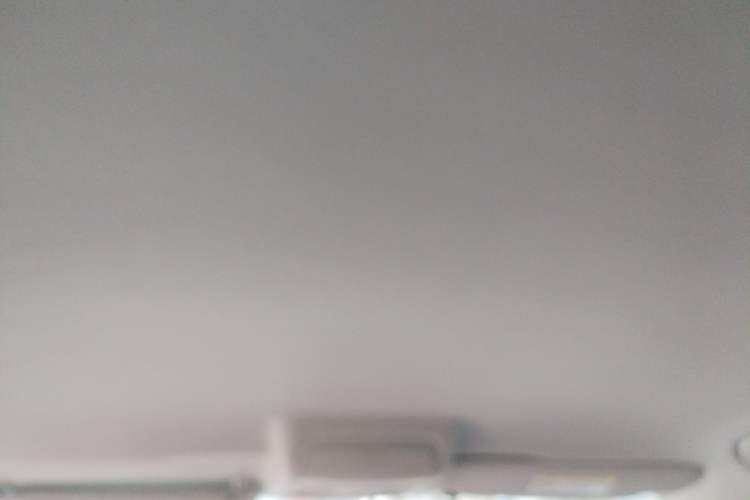 Used Volkswagen Tiguan 2016 300TSI Automatic Two-Wheel Drive Trend Edition Headliner