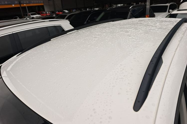 Used Volkswagen Tiguan 2016 300TSI Automatic Two-Wheel Drive Trend Edition Roof