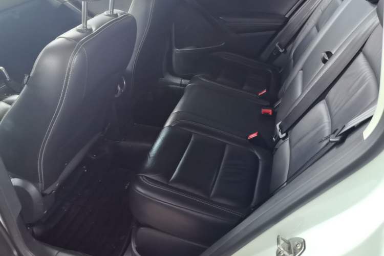 Used Volkswagen Tiguan 2017 300TSI Automatic Two-Wheel Drive Silk Road Comfort Edition Left Rear Seat