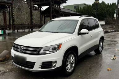 Used Volkswagen Tiguan 2017 300TSI Automatic Two-Wheel Drive Silk Road Luxury Edition