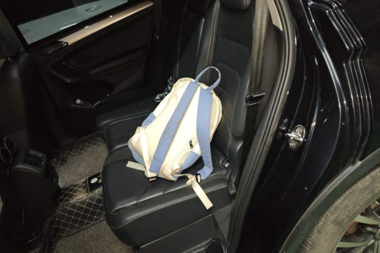 Used Volkswagen Tiguan L 2017 330TSI Automatic Two-Wheel Drive Comfort Edition Left Rear Seat