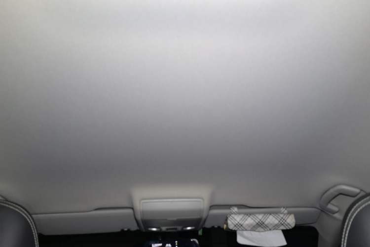 Used Volkswagen Tiguan L 2018 330TSI Automatic Two-Wheel Drive Comfort Edition Headliner