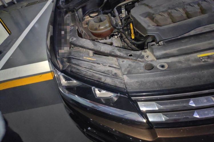 Used Volkswagen Tiguan L 2018 330TSI Automatic Two-Wheel Drive Luxury Edition Right Front Headlight