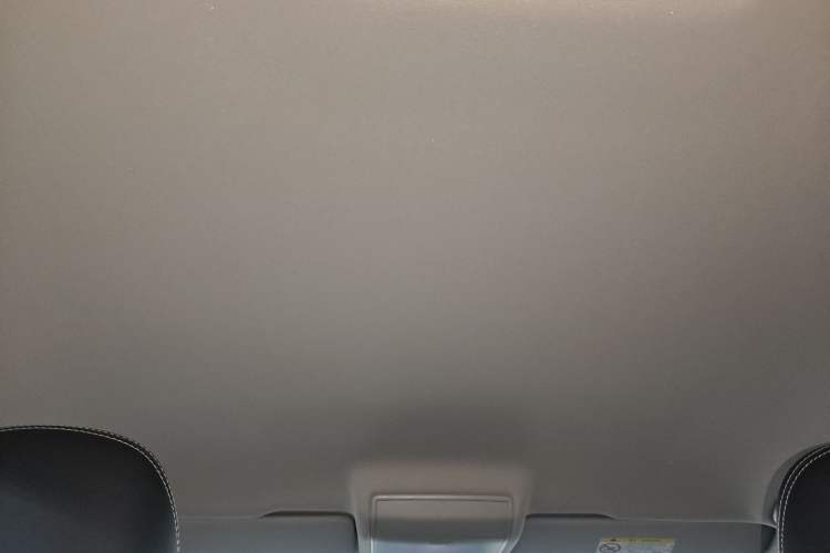 Used Volkswagen Tiguan L 2018 Revised Version 330TSI Automatic Two-Wheel Drive Comfort Edition Headliner