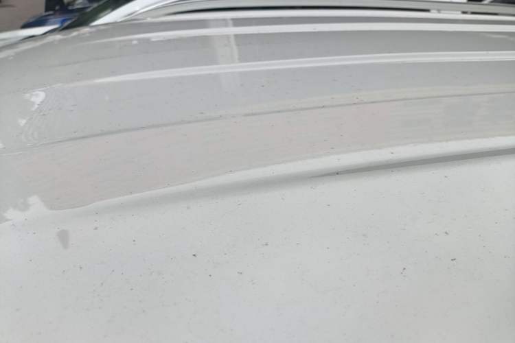 Used Volkswagen Tiguan L 2018 330TSI Automatic Two-Wheel Drive Comfort Edition Roof