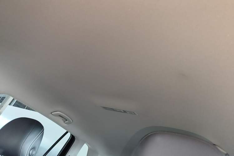 Used Volkswagen Tiguan L 2019 330TSI Automatic Two-Wheel Drive Luxury Edition China V Standard Headliner