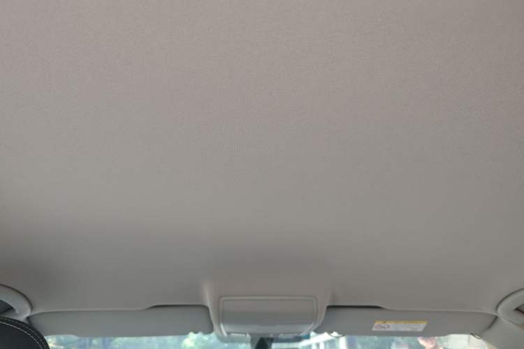Used Volkswagen Tiguan L 2019 330TSI Automatic Two-Wheel Drive Luxury Edition China V Standard Headliner