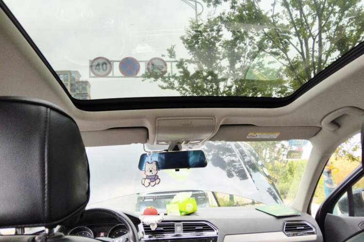 Used Volkswagen Tiguan L 2019 Updated Version 330TSI Automatic Two-Wheel Drive Panoramic Comfort Edition China VI Standard Headliner