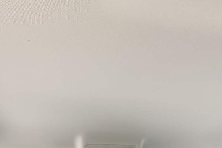 Used Volkswagen Tiguan L 2019 330TSI Automatic Two-Wheel Drive Luxury Edition China VI Standard Headliner