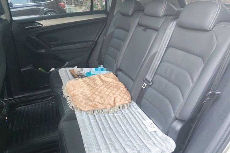Used Volkswagen Tiguan L 2019 380TSI Automatic All-Wheel Drive Luxury Edition China VI Standard Left Rear Seat