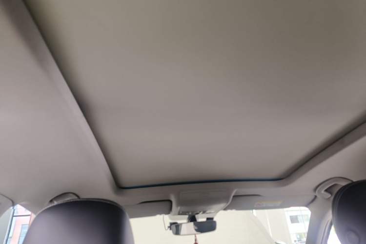 Used Volkswagen Tiguan L 2019 330TSI Automatic Two-Wheel Drive Smart Luxury Version China VI Standard Headliner