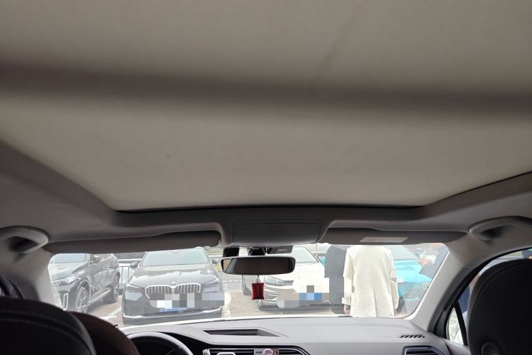 Used Volkswagen Tiguan L 2019 330TSI Automatic Two-Wheel Drive Smart Luxury Version China VI Standard Headliner