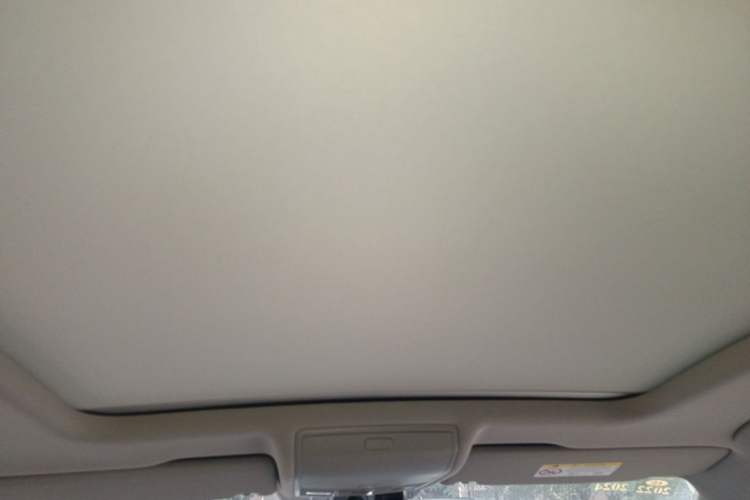 Used Volkswagen Tiguan L 2020 330TSI Automatic Two-Wheel Drive Smart Luxury Edition China VI Standard Headliner