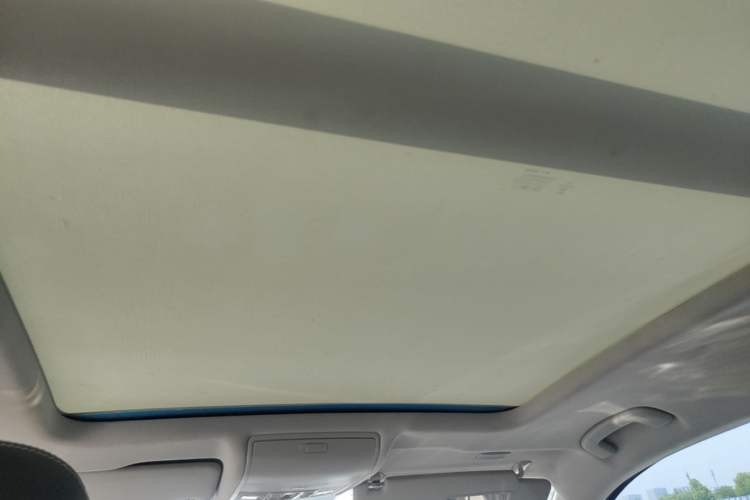 Used Volkswagen Tiguan L 2020 330TSI Automatic Two-Wheel Drive Smart Luxury Edition China VI Standard Headliner