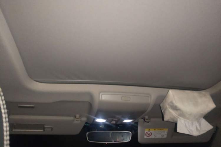 Used Volkswagen Tiguan L 2020 330TSI Automatic Two-Wheel Drive Smart Luxury Edition China VI Standard Headliner
